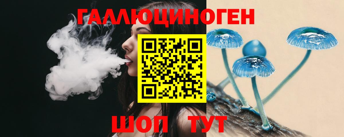 Пугачёв  Галлюциногенные грибы мухоморы  Вход с VPN  Галлюциногенные грибы GOLDEN TEACHER 